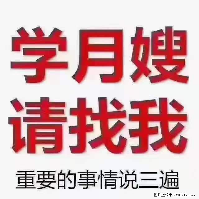 为什么要学习月嫂，育婴师？ - 其他广告 - 广告专区 - 济南分类信息 - 济南28生活网 jn.28life.com