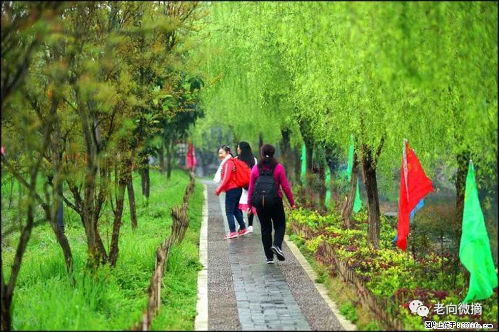【春天,广西桂林灌阳县向您发出邀请!】江口老街又逢春 - 游山玩水 - 济南生活社区 - 济南28生活网 jn.28life.com