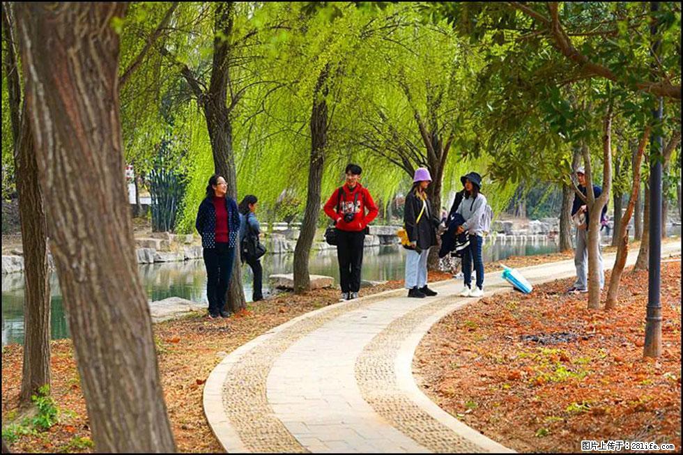 【春天,广西桂林灌阳县向您发出邀请!】江口老街又逢春 - 游山玩水 - 济南生活社区 - 济南28生活网 jn.28life.com