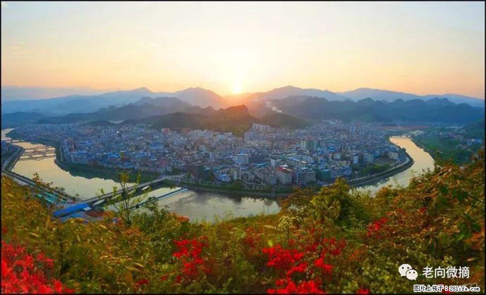 【春天,广西桂林灌阳县向您发出邀请!】登麒麟山,相约映山红 - 游山玩水 - 济南生活社区 - 济南28生活网 jn.28life.com