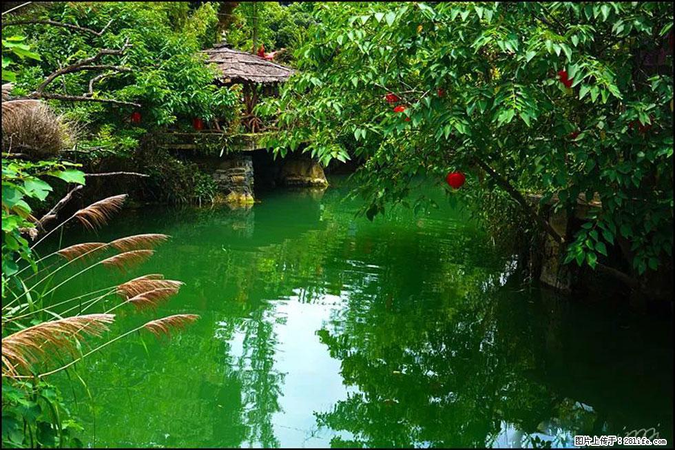 【春天，广西桂林灌阳县向您发出邀请！】如梦似幻莲溪庐 - 游山玩水 - 济南生活社区 - 济南28生活网 jn.28life.com