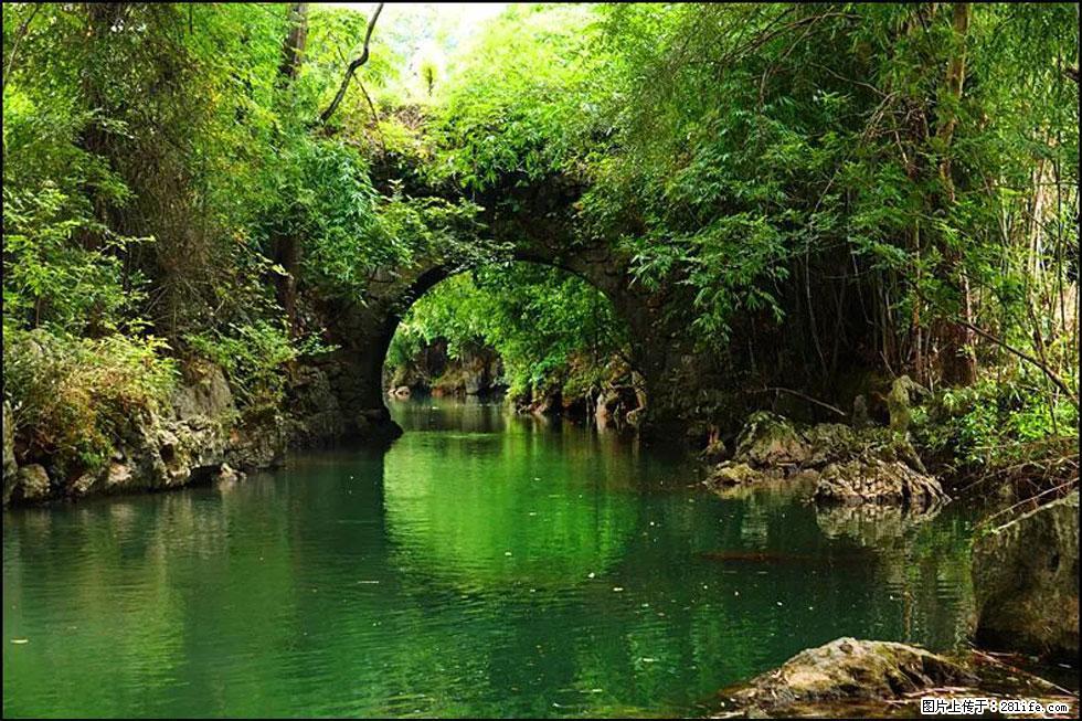 【春天，广西桂林灌阳县向您发出邀请！】如梦似幻莲溪庐 - 游山玩水 - 济南生活社区 - 济南28生活网 jn.28life.com