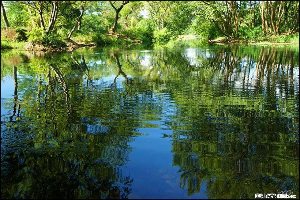 【春天,广西桂林灌阳县向您发出邀请!】熊家寨湿地公园 - 游山玩水 - 济南生活社区 - 济南28生活网 jn.28life.com