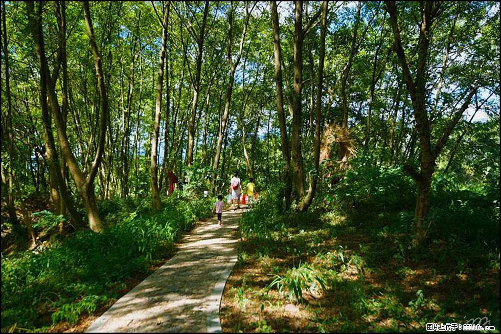 【春天,广西桂林灌阳县向您发出邀请!】熊家寨湿地公园 - 游山玩水 - 济南生活社区 - 济南28生活网 jn.28life.com