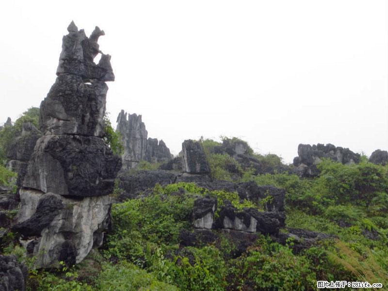 桂林旅游名城景点:灌阳文市石林 - 游山玩水 - 济南生活社区 - 济南28生活网 jn.28life.com