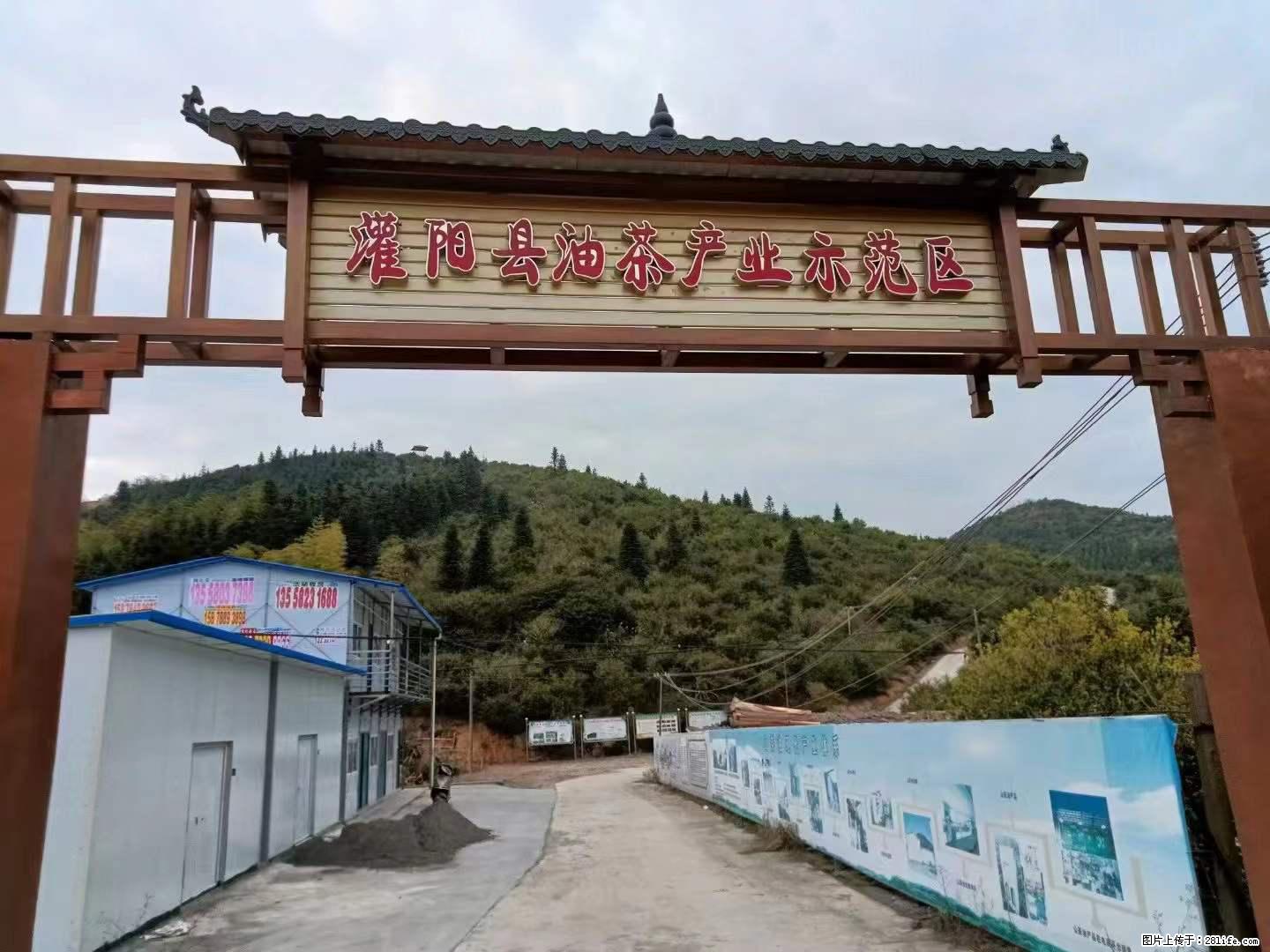 【灌阳县油茶产业示范区】一个有着充实的精神生活的人,对待身外之物自会有一种淡泊的态度 - 美食天地 - 济南生活社区 - 济南28生活网 jn.28life.com