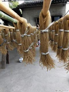 【灌阳正宗红薯粉】美女家里自己做的,干净卫生,假一赔十,价格合理,抢购电话:13737312895 - 济南28生活网 jn.28life.com