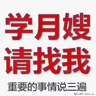为什么要学习月嫂,育婴师? - 济南28生活网 jn.28life.com