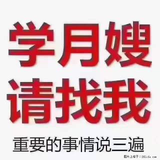 为什么要学习月嫂，育婴师？ - 济南28生活网 jn.28life.com