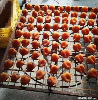 广西桂林平乐桥亭【柿饼之乡】2025年纯手工制作、无任何添加剂的第一批柿饼准备上市了，欢迎联系订购！ - 济南28生活网 jn.28life.com