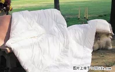 被子有异味?只要这样做,比晒太阳还强100倍! - 家居生活 - 济南生活社区 - 济南28生活网 jn.28life.com