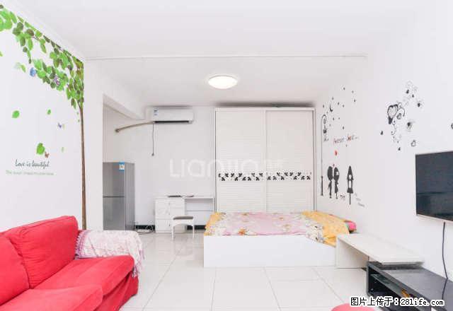 新世界阳光花园精装修1室，临近和谐广场经十路经七路 - 房屋出租 - 房屋租售 - 济南分类信息 - 济南28生活网 jn.28life.com