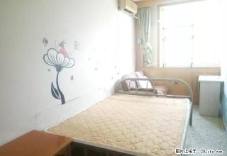 (单间出租)山大路与山大北路紧邻山大北门数码港大厦有空调暖气 3楼 个人 - 济南28生活网 jn.28life.com