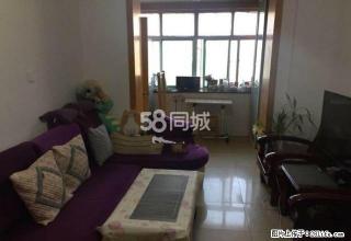 适合居家 舜耕路财政学院宿舍 三居室 精装修 家具家电齐全 - 济南28生活网 jn.28life.com