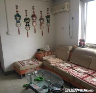 玉函区 铁路玉函 兴济河小区 英雄山路精装两室 靓丽登场 - 济南28生活网 jn.28life.com