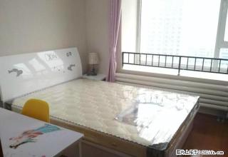 (单间出租)工业南路国际会展中心枫润大厦东临海信都市阳光精装修无中介 - 济南28生活网 jn.28life.com
