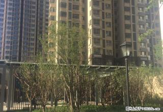 (单间出租)可短租可月付 随时看房 无中介费 公共厨房 免费无线 有暖气 - 济南28生活网 jn.28life.com