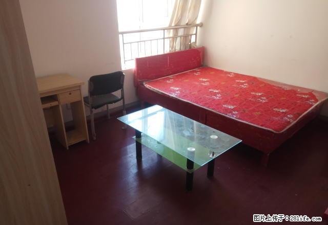 (单间出租)万科金域 舜泰广场 玉兰广场 龙奥九号 - 房屋出租 - 房屋租售 - 济南分类信息 - 济南28生活网 jn.28life.com