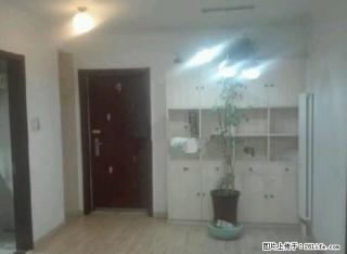 高新实验旁 会展以北 海信慧园 精装两室 空房子 - 济南28生活网 jn.28life.com