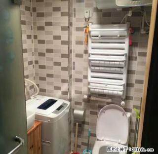 (单间出租)和平路诚基中心 精装公寓 拎包入住 给你温馨的家 - 济南28生活网 jn.28life.com