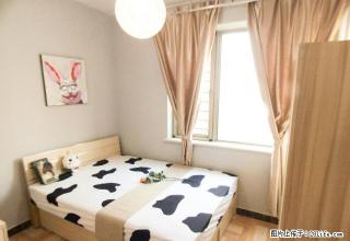 (单间出租)临近万达 交通便利 支持便利 真实图片 新苑国际精品出租 - 济南28生活网 jn.28life.com