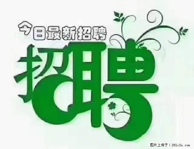 【招聘摄像师】待遇:试用期6000元/月,转正7000元/月+五险一金+餐补+节日福利+奖金 - 职场交流 - 济南生活社区 - 济南28生活网 jn.28life.com