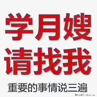 【招聘】月嫂,上海徐汇区 - 济南28生活网 jn.28life.com