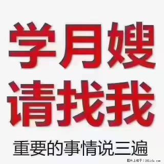 【招聘】月嫂，上海徐汇区 - 济南28生活网 jn.28life.com