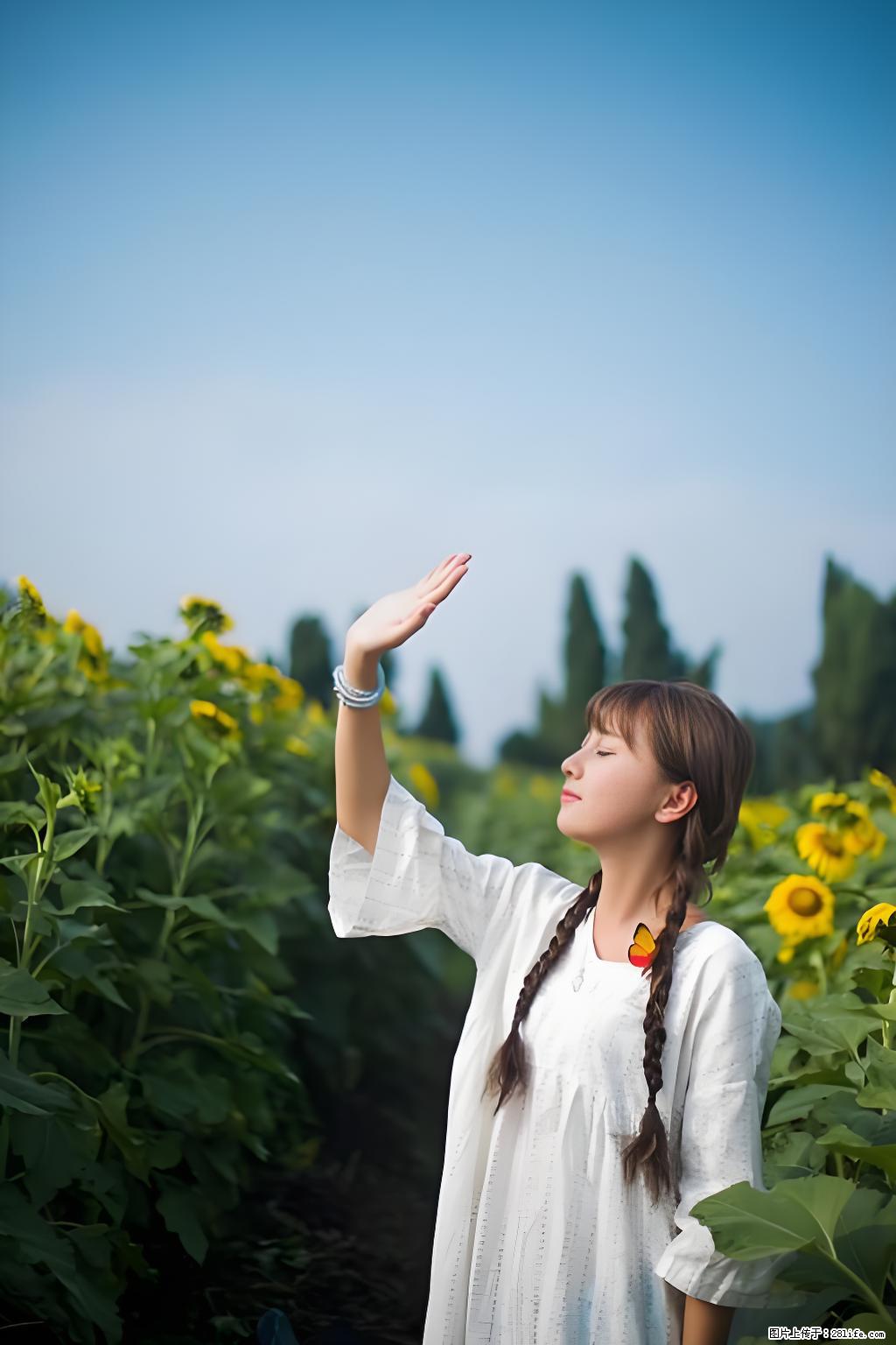 济南二手车高价收购,手续秒出,及时领置换补贴 15288852650 - 小轿车 - 汽车频道 - 济南分类信息 - 济南28生活网 jn.28life.com