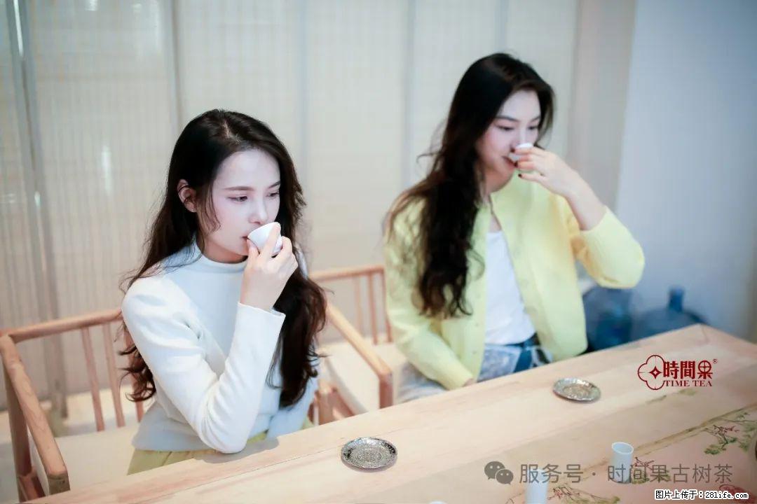 时间果百年古树龙珠普洱生茶 - 购物交流 - 济南生活社区 - 济南28生活网 jn.28life.com