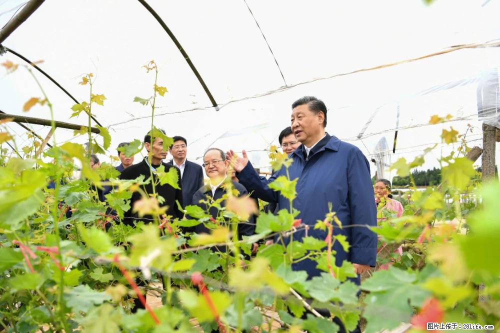 习近平赴广西考察调研 - 济南生活资讯 - 济南28生活网 jn.28life.com