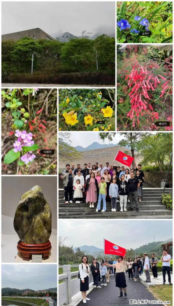 “粤灌文化 美好生活”油茶文化主题活动在广东深圳成功举办 - 济南生活资讯 - 济南28生活网 jn.28life.com