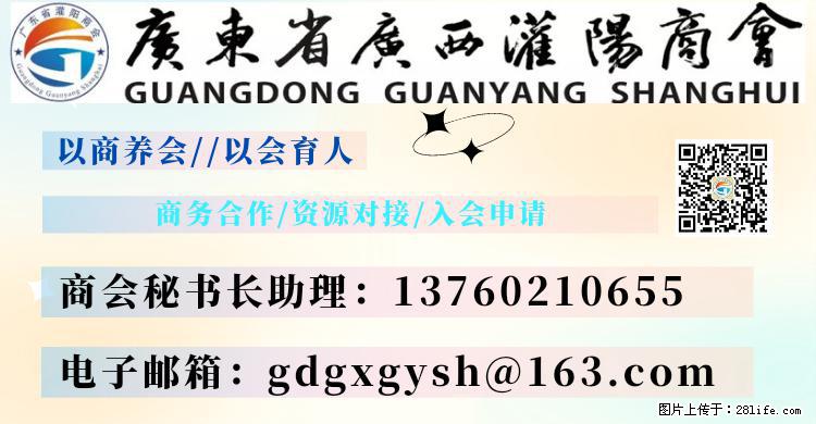 “粤灌文化 美好生活”油茶文化主题活动在广东深圳成功举办 - 济南生活资讯 - 济南28生活网 jn.28life.com