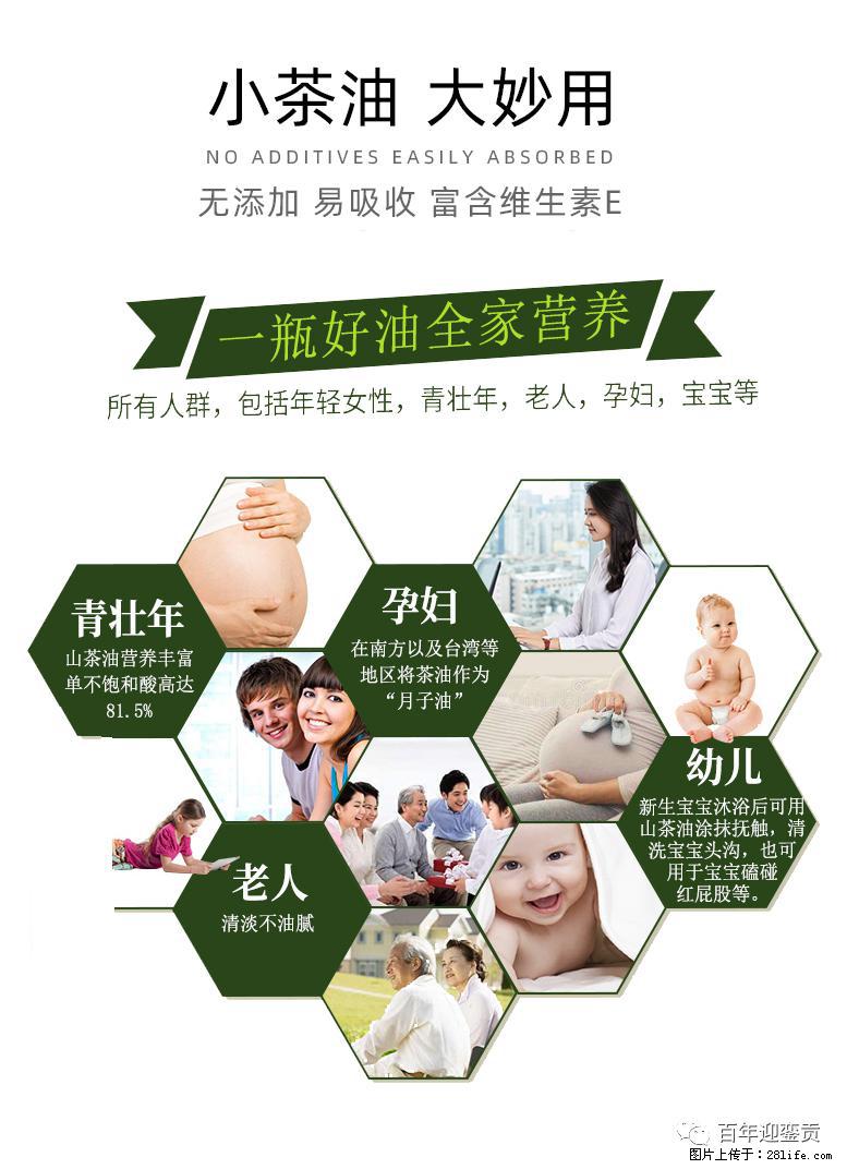 世界没有真相,只有认知,最好的食用油是中国的山茶油! - 济南生活资讯 - 济南28生活网 jn.28life.com