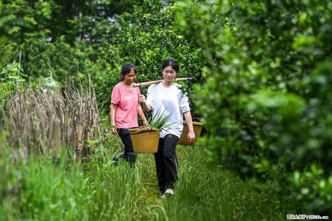 全网追的“扁担女孩”，找了一份暑假工，时薪12元 - 济南生活资讯 - 济南28生活网 jn.28life.com