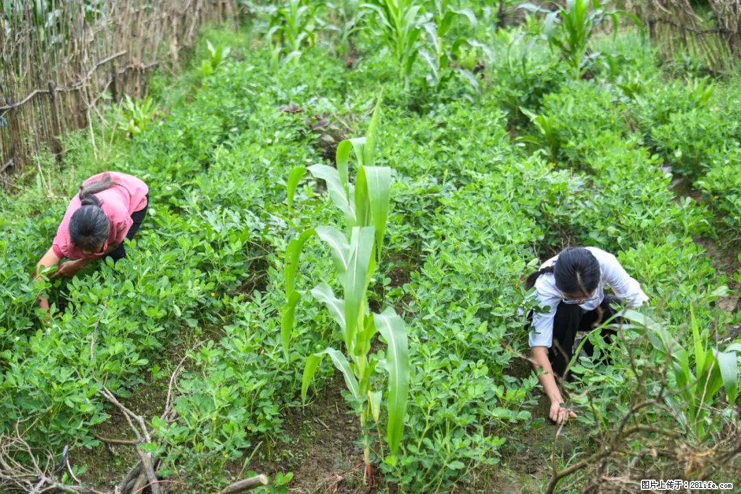 全网追的“扁担女孩”，找了一份暑假工，时薪12元 - 济南生活资讯 - 济南28生活网 jn.28life.com