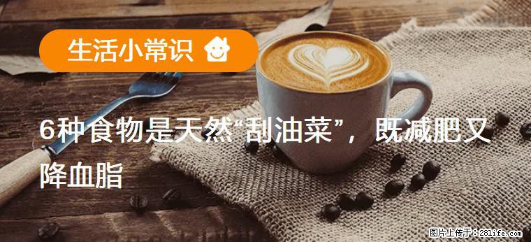 【生活小常识】6种食物是天然“刮油菜”，既减肥又降血脂 - 济南生活资讯 - 济南28生活网 jn.28life.com