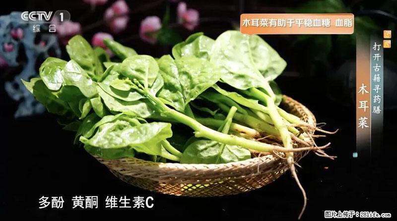 比牛奶补钙还厉害！凉血解毒、稳血糖...这菜冬天必吃，很多人却当草 - 济南生活资讯 - 济南28生活网 jn.28life.com