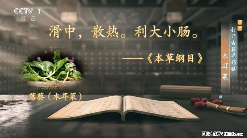 比牛奶补钙还厉害！凉血解毒、稳血糖...这菜冬天必吃，很多人却当草 - 济南生活资讯 - 济南28生活网 jn.28life.com