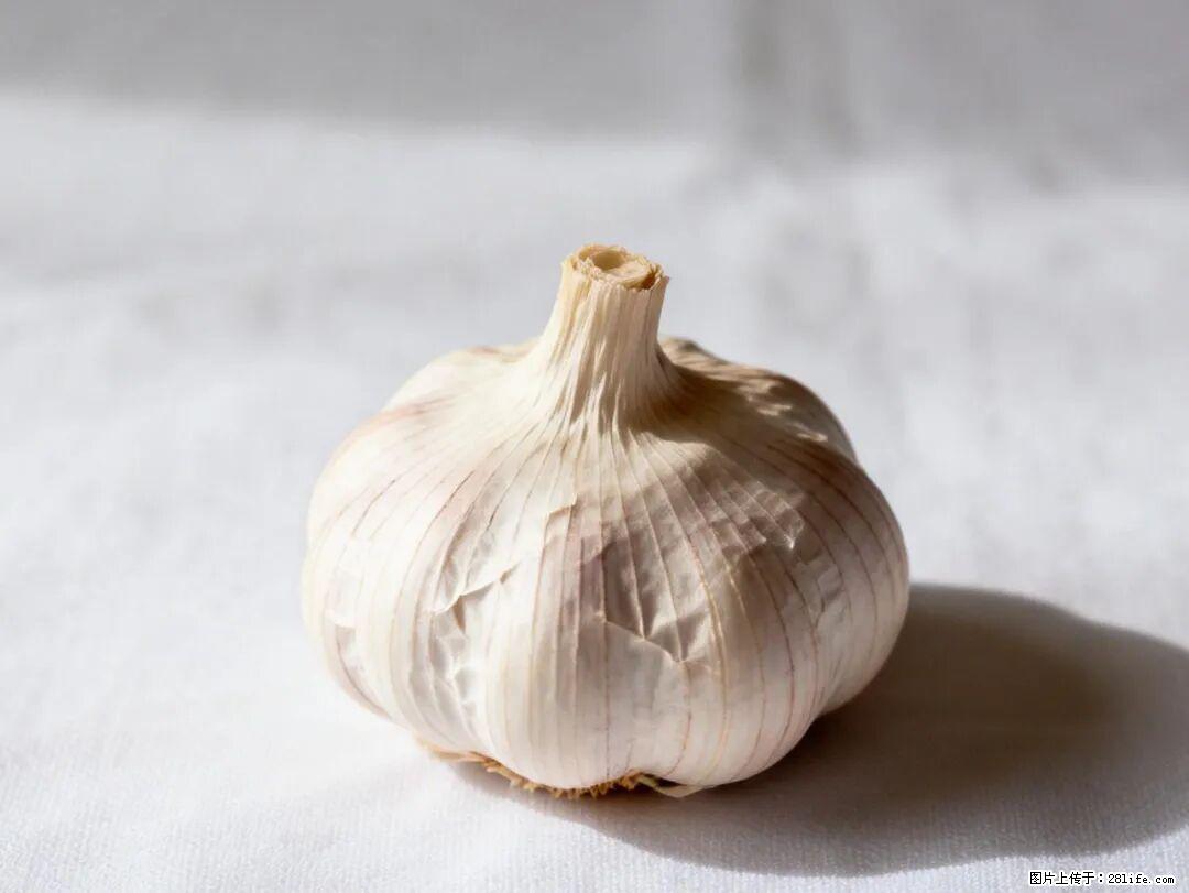 关于大蒜，除了“天然抗生素”，这4个谣言更该警惕! - 济南生活资讯 - 济南28生活网 jn.28life.com