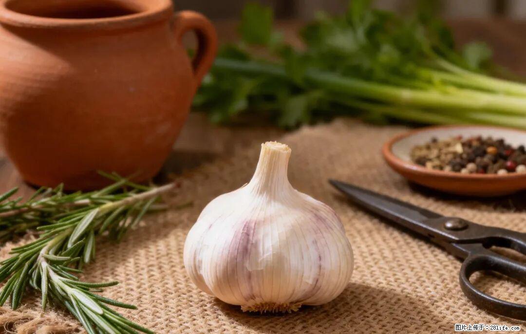 关于大蒜，除了“天然抗生素”，这4个谣言更该警惕! - 济南生活资讯 - 济南28生活网 jn.28life.com