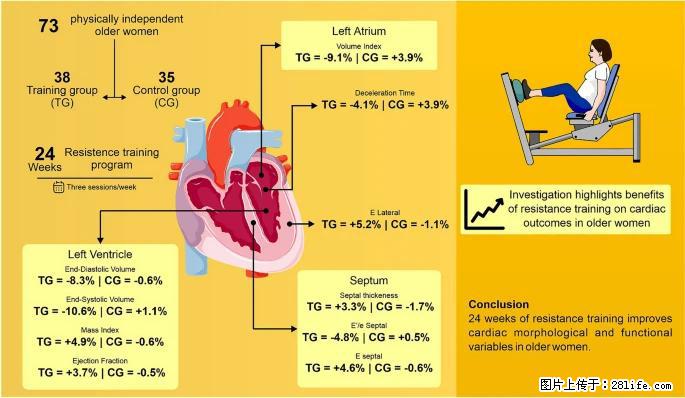 坚持这种运动6个月，心脏有了显著变化！不是跑步，也不是走路 - 济南生活资讯 - 济南28生活网 jn.28life.com
