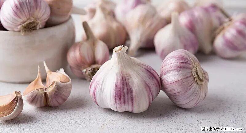 抗菌消炎、护肝健脾！这种“天然青霉素”就在你家餐桌上，春季吃正合适 - 济南生活资讯 - 济南28生活网 jn.28life.com