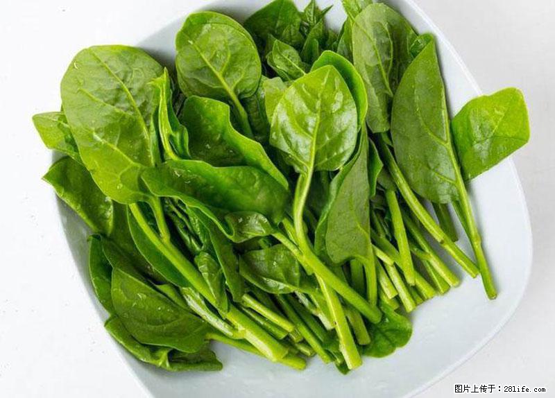 这些蔬菜是“天然钙片”，这6种被医生重点推荐 - 济南生活资讯 - 济南28生活网 jn.28life.com