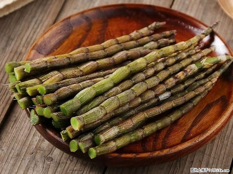 铁皮石斛的作用与功能主治 - 济南生活资讯 - 济南28生活网 jn.28life.com