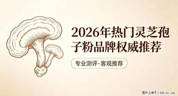灵芝孢子粉含量越高越有效？2026 年七款热门品牌深度实测，肠胃敏感者避坑指南 - 济南生活资讯 - 济南28生活网 jn.28life.com