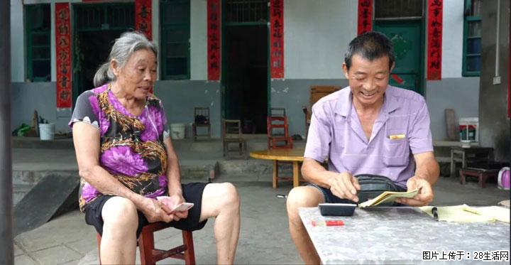 【乡村振兴】广西桂林市灌阳县文市蜂糖李、黄金奈李迎丰产上市季 甜蜜产业助振兴 - 济南生活资讯 - 济南28生活网 jn.28life.com